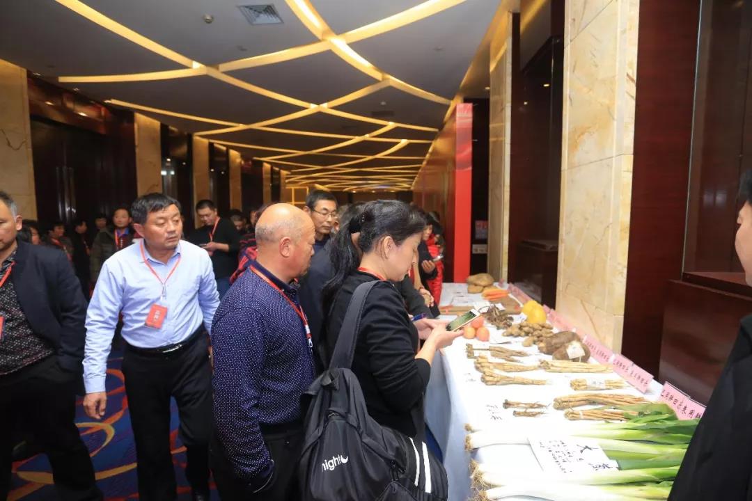 “闪耀beplay体育官网乐,筑梦beplay体育官网下载”巅峰盛会济南分会圆满落幕 “闪耀beplay体育官网乐,筑梦beplay体育官网下载”巅峰盛会济南分会圆满落幕