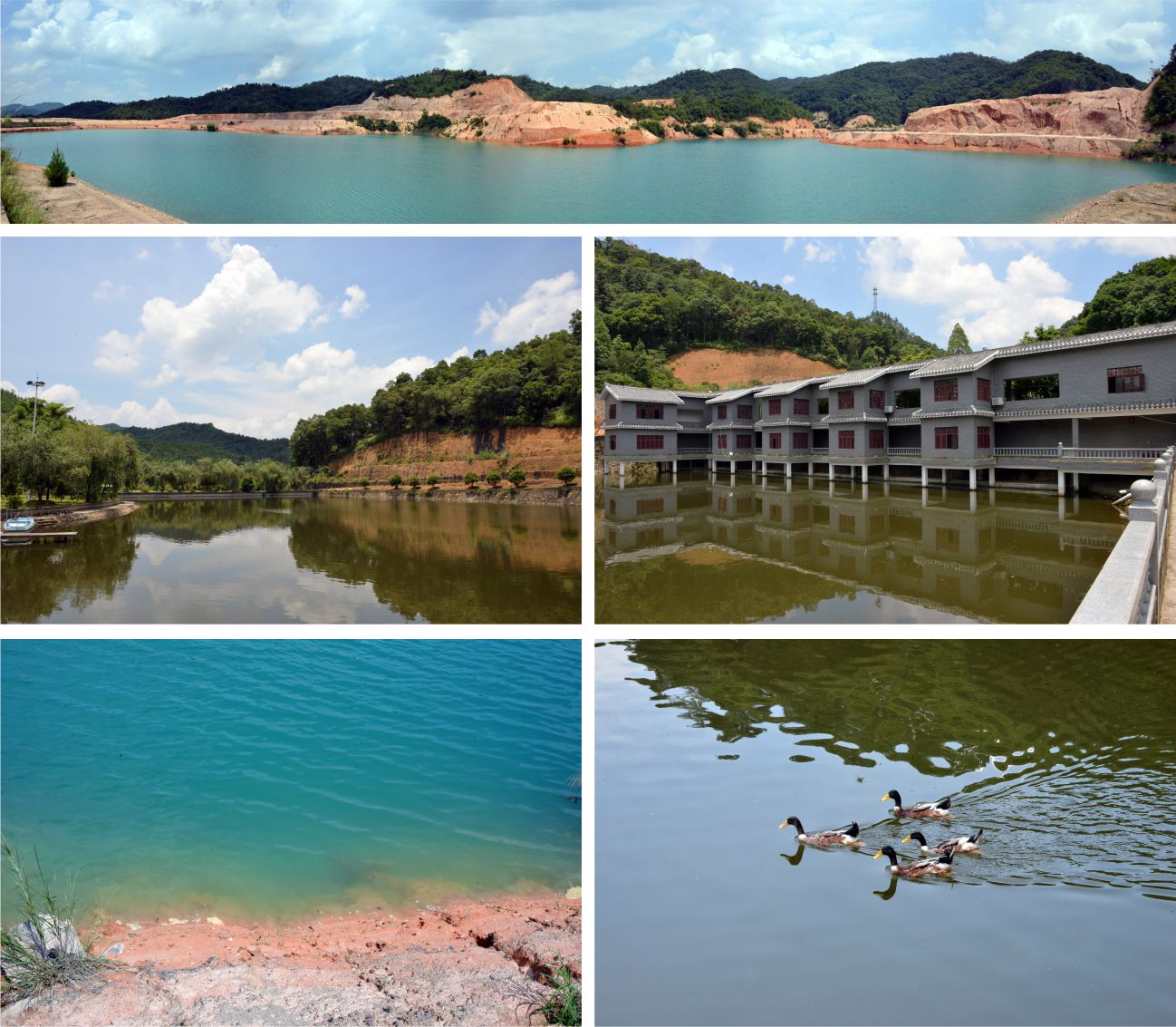 廣東森硒湖莊園