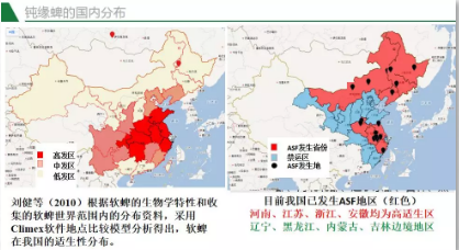 防控非洲猪瘟看这里，华农兽医学院翁亚彪教授为您支招