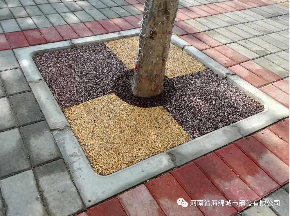 人行道树穴“红石子”纷纷炸裂?揭秘背后真相 人行道树穴“红石子”纷纷炸裂?揭秘背后真相
