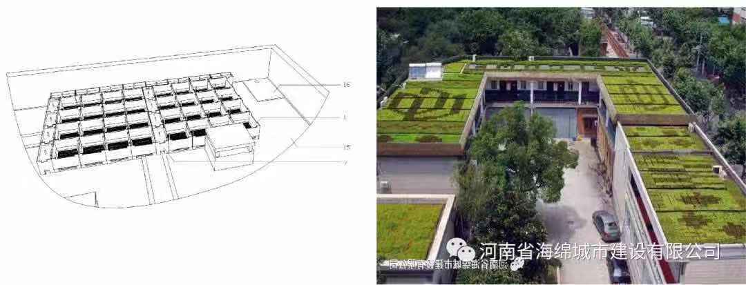 海绵城市 | 雨水利用和风景园林有机结合! 海绵城市 | 雨水利用和风景园林有机结合!