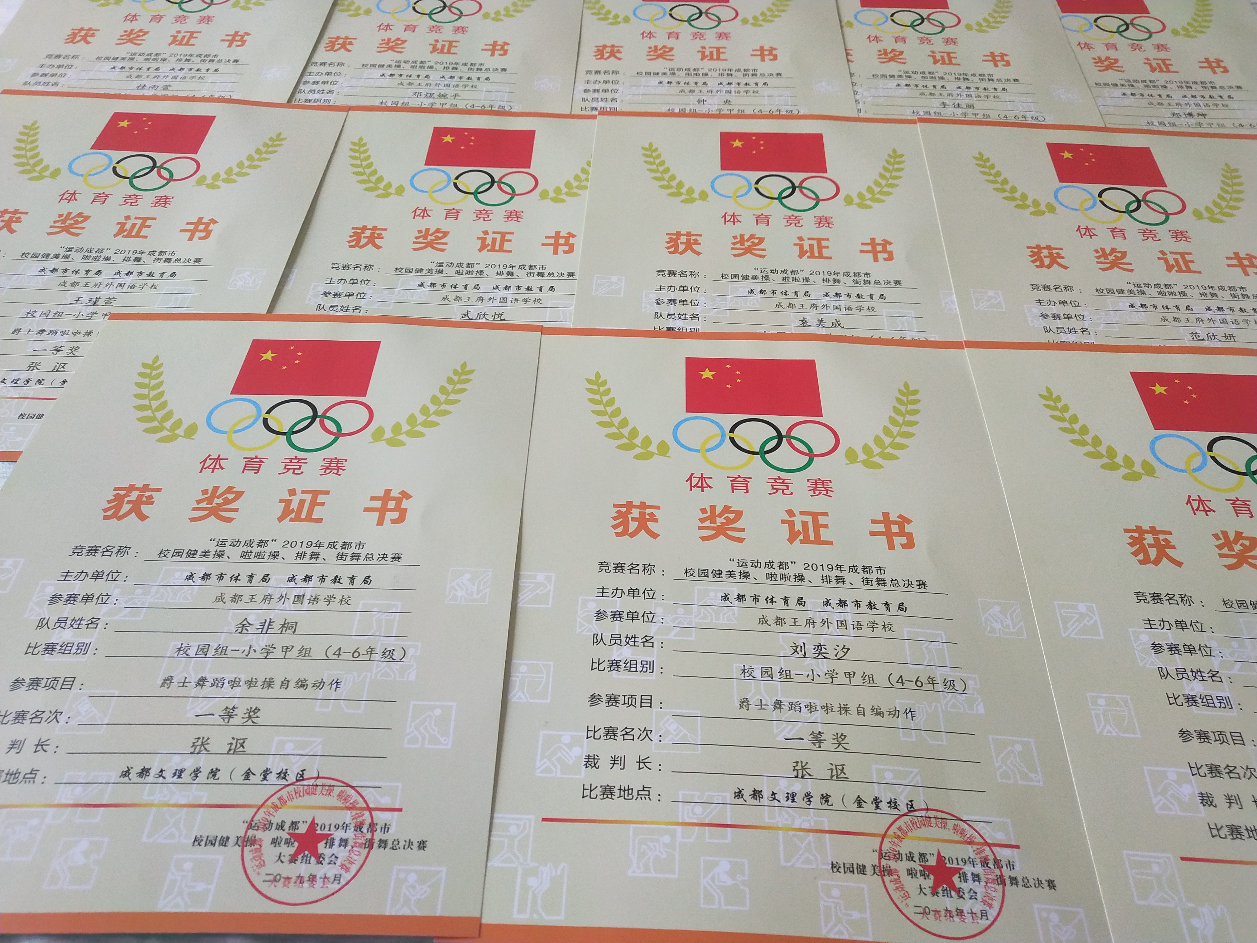 征服赛场,成都王府荣获成都市啦啦操总决赛两项一等奖 征服赛场,成都王府荣获成都市啦啦操总决赛两项一等奖