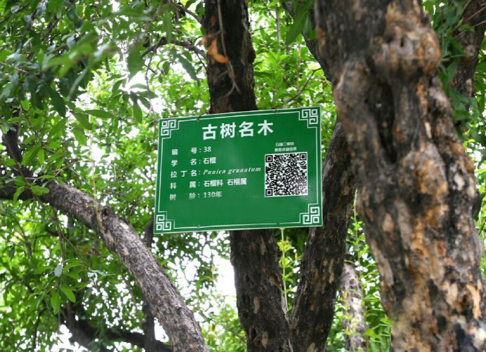 智慧服务解决方案 智慧服务解决方案