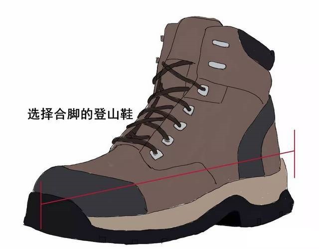 选择合适的鞋子 选择合适的鞋子