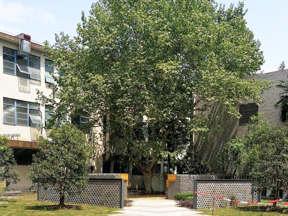 一大波国外校园景观设计,满屏的设计营养 一大波国外校园景观设计,满屏的设计营养