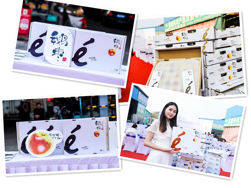 鹅枣2019品牌发布会在济南堤口果品批发市场隆重举办