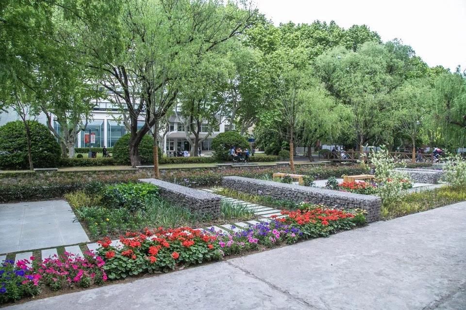一大波国外校园景观设计,满屏的设计营养 一大波国外校园景观设计,满屏的设计营养