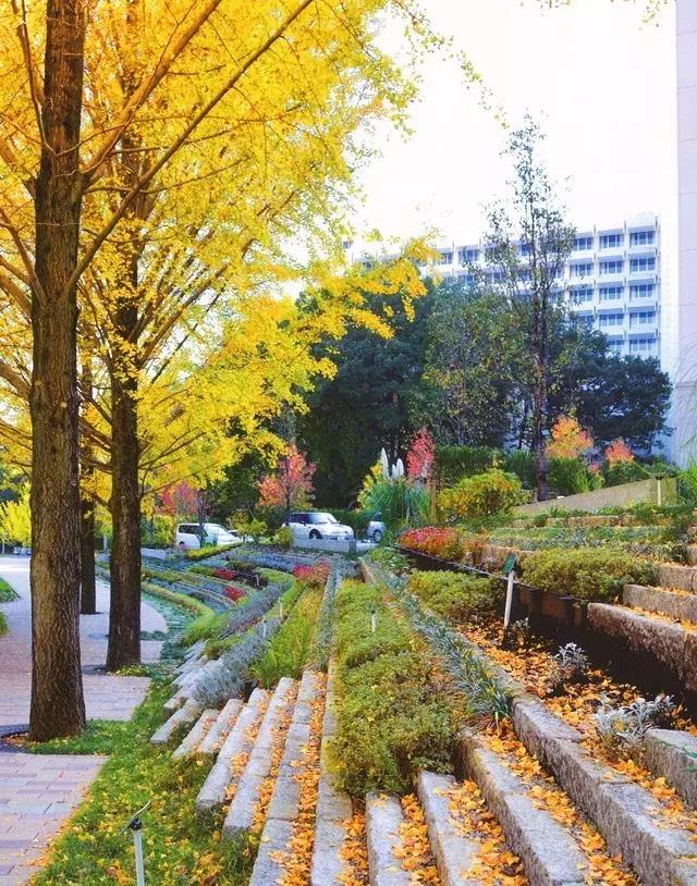 一大波国外校园景观设计,满屏的设计营养 一大波国外校园景观设计,满屏的设计营养