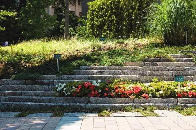 一大波国外校园景观设计,满屏的设计营养 一大波国外校园景观设计,满屏的设计营养