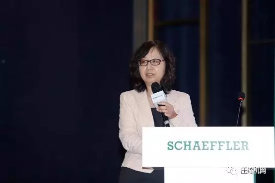 高效智能，共创未来 | 舍弗勒压缩机技术研讨会顺利召开