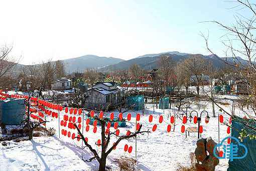 鄉(xiāng)村特色游?天津市薊縣小穿芳峪村