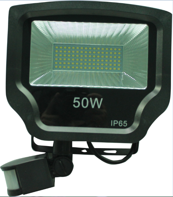 SMD Floodlight FS50W  感应