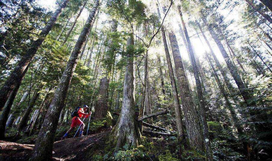 在野外登山迷路了怎么办? 在野外登山迷路了怎么办?