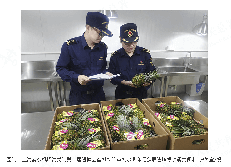 首批印度尼西亚菠萝通关进境 即将亮相第二届进博会 首批印度尼西亚菠萝通关进境 即将亮相第二届进博会