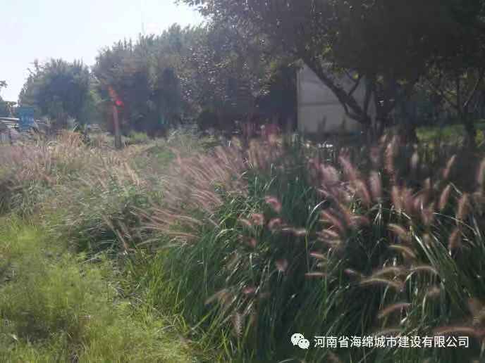 『学习篇』李冰带领全体毕业生走进海绵城市试点——鹤壁 『学习篇』李冰带领全体毕业生走进海绵城市试点——鹤壁