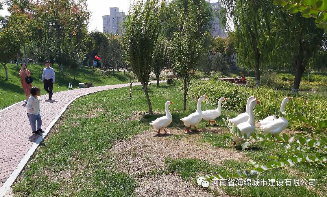 『学习篇』李冰带领全体毕业生走进海绵城市试点——鹤壁 『学习篇』李冰带领全体毕业生走进海绵城市试点——鹤壁