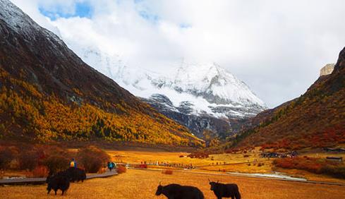 稻城亚丁旅游报价对旅游出行的重要意义