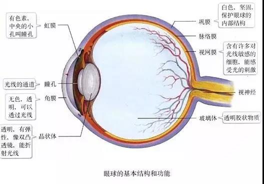 眼睛干涩需注意，别让你的眼睛再“干渴”