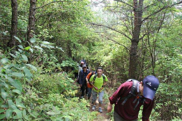 徒步登山拓展训练活动心得体会 徒步登山拓展训练活动心得体会
