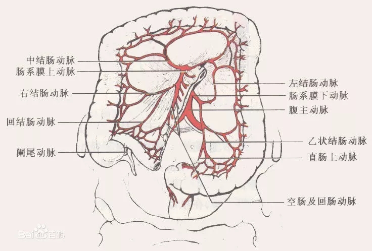 【腹腔镜篇】小肠手术 【腹腔镜篇】小肠手术