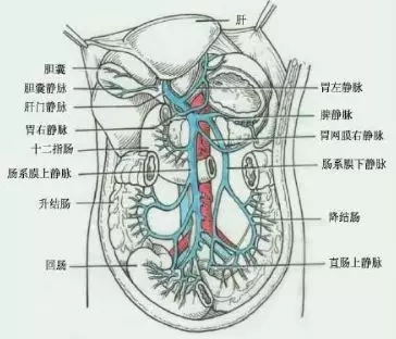 【腹腔镜篇】小肠手术