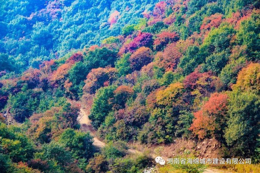 热岛效应的危害不容小觑 热岛效应的危害不容小觑