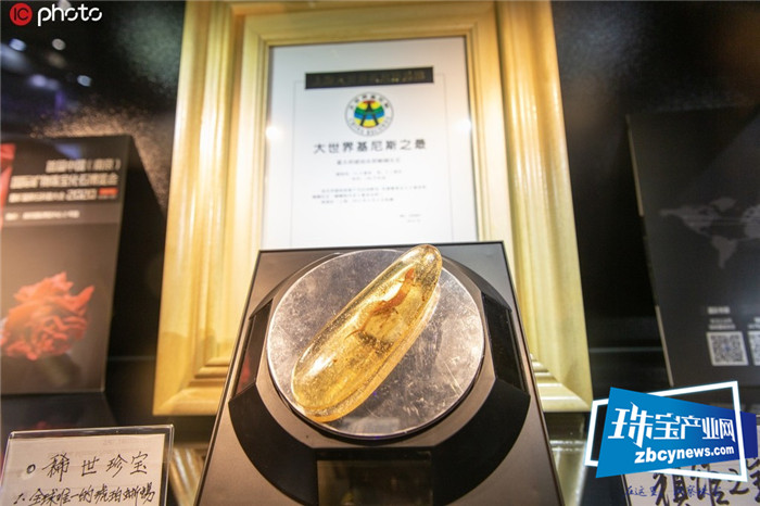 世界最大琥珀水胆蜥蜴化石亮相2019上海进博会 