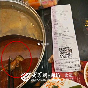 饭店定期进行鼠虫防治的重要性 饭店定期进行鼠虫防治的重要性