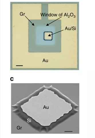 石墨烯再“立功”！中国科学家成功研制高速晶体管