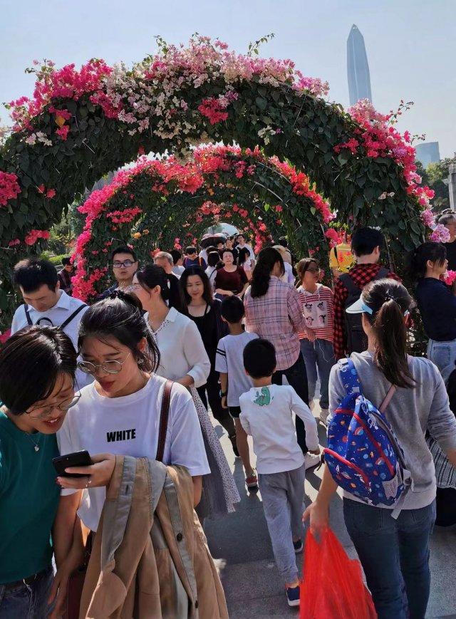 深圳簕杜鹃花展开幕3天迎33万游客，专家叫好市民点赞