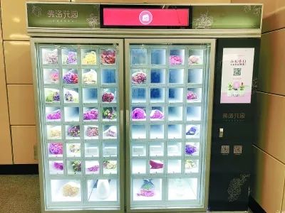 像买饮料一样买鲜花 “自动售卖机”引领“鲜花经济” 像买饮料一样买鲜花 “自动售卖机”引领“鲜花经济”