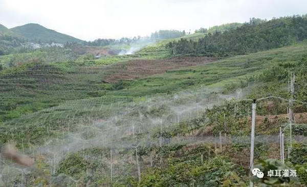 湖北省獼猴桃產業吹響集結號——省獼猴桃產業培訓會將在武漢舉辦