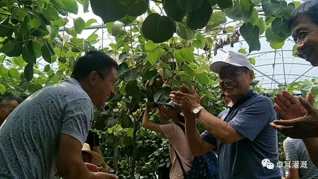 我省猕猴桃产业蓄势待发——首届湖北省猕猴桃技术培训会圆满落幕(图) 我省猕猴桃产业蓄势待发——首届湖北省猕猴桃技术培训会圆满落幕(图)