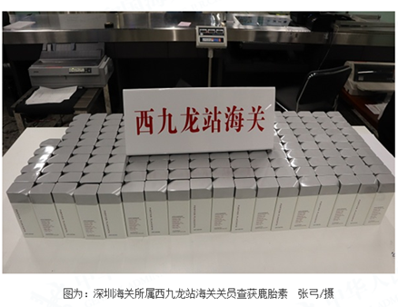 西九龙站海关查获入境旅客携带鹿胎素178瓶 西九龙站海关查获入境旅客携带鹿胎素178瓶