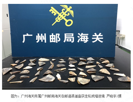 “浅海珍宝”伪装“塑料样品”亦难蒙混过关 “浅海珍宝”伪装“塑料样品”亦难蒙混过关
