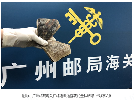 “浅海珍宝”伪装“塑料样品”亦难蒙混过关 “浅海珍宝”伪装“塑料样品”亦难蒙混过关