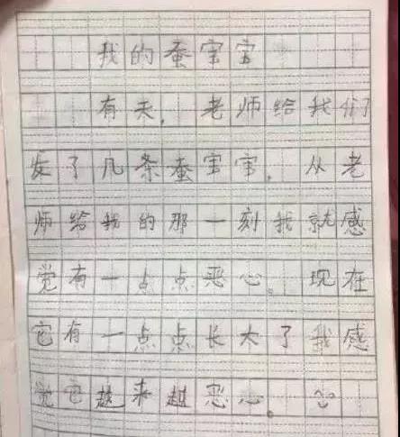 带病的妈妈、有毅力的同学,这些作文素材就算是学霸也都写烂了! 带病的妈妈、有毅力的同学,这些作文素材就算是学霸也都写烂了!