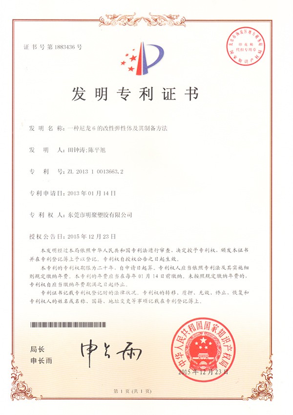 尼龍6改性彈性體及制備方法專利證書 尼龍6改性彈性體及制備方法專利證書