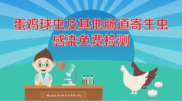 來了！蛋雞球蟲及其他腸道寄生蟲感染免費檢測！