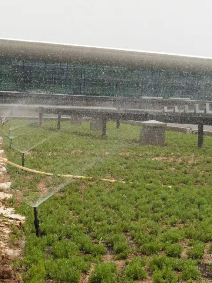 天河機場 T3 航站樓交通指揮中心屋頂綠化自動噴灌 天河機場 T3 航站樓交通指揮中心屋頂綠化自動噴灌