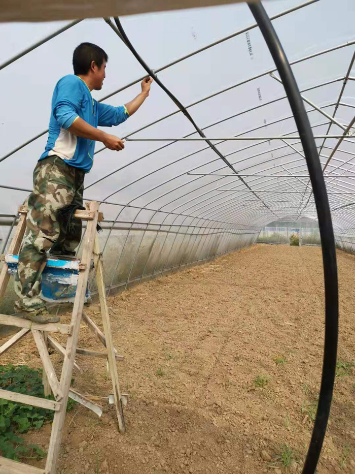 武漢市文鼎農業蔬菜新品種引試研發基地建設項目現代農業水肥一體化示范區