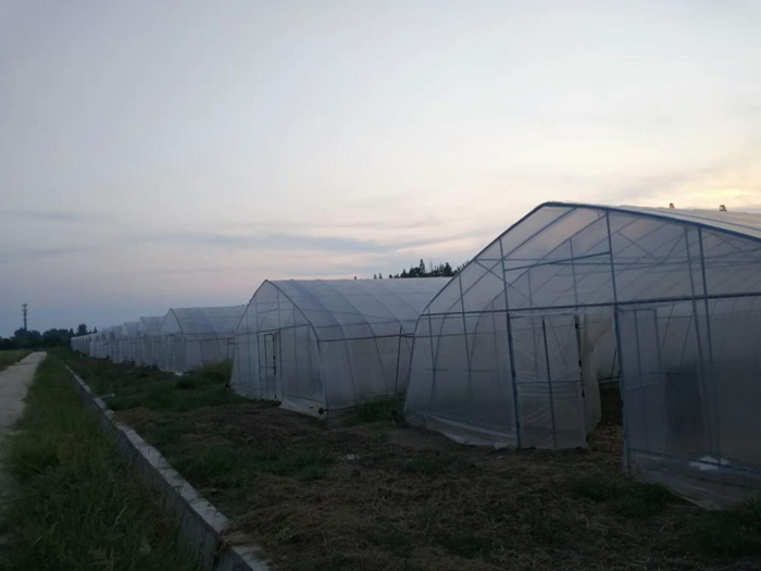 武漢市文鼎農業蔬菜新品種引試研發基地建設項目現代農業水肥一體化示范區 武漢市文鼎農業蔬菜新品種引試研發基地建設項目現代農業水肥一體化示范區
