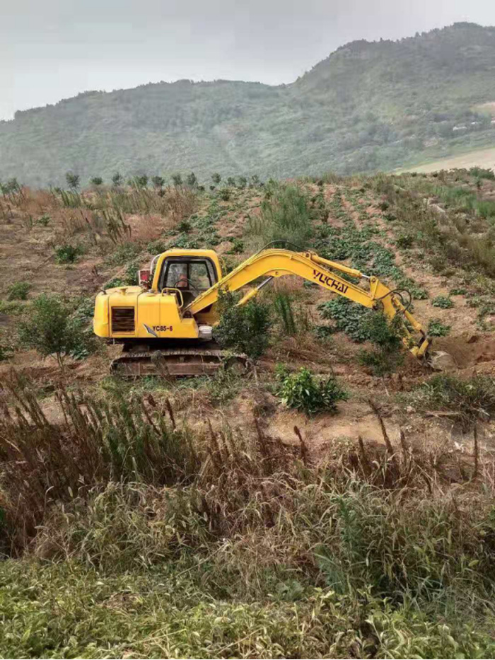 十堰鄖陽宇翔生態農場柑橘水肥一體化示范項目