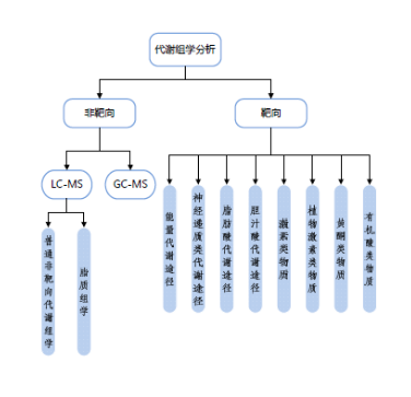 代谢组学 代谢组学