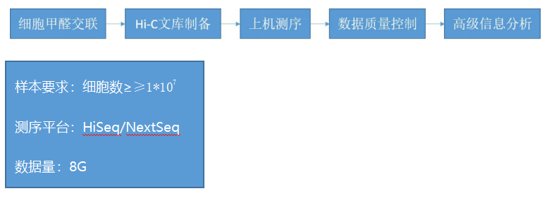 翻译组测序服务 翻译组测序服务
