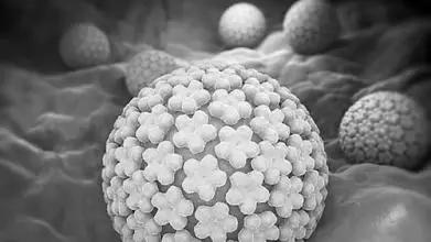 妇科凝胶代加工-宫颈癌，别让宫颈中毒-西安中天生物