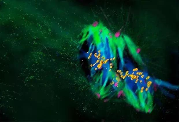 2018年《环球科学》十大科学新闻 2018年《环球科学》十大科学新闻