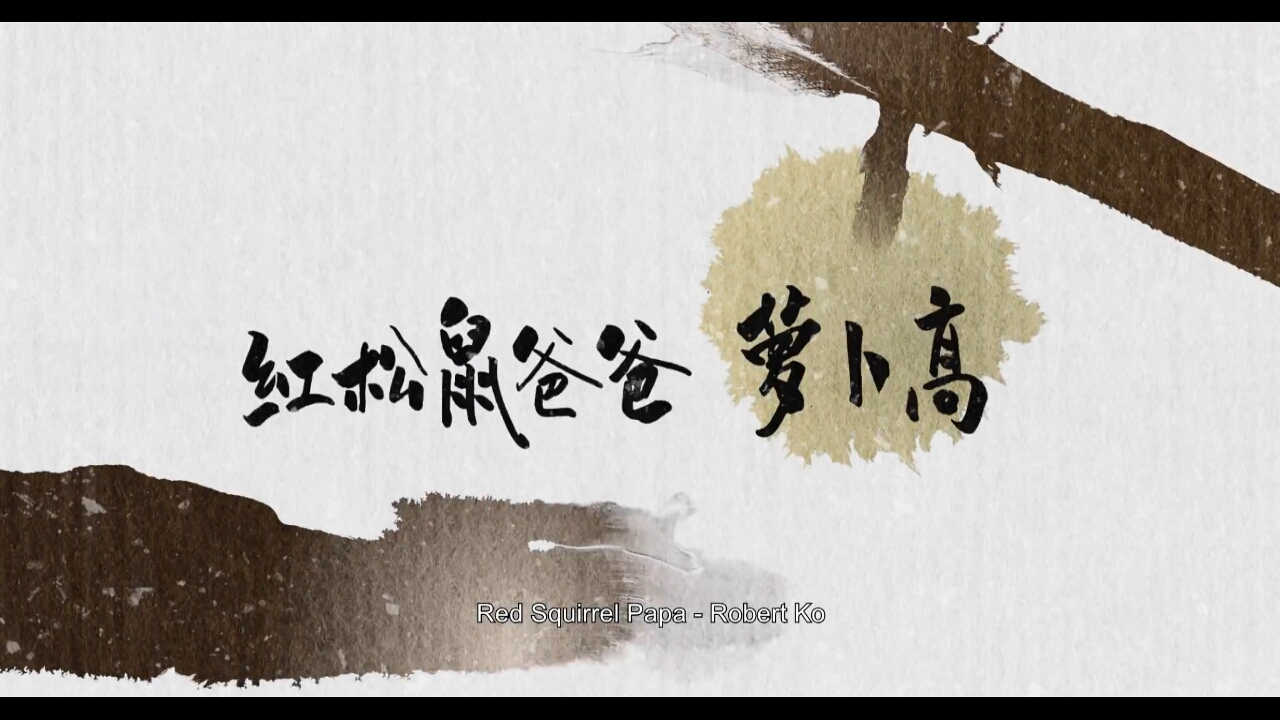 flash动画制作 中国水墨动画归来《 红松鼠米高》2020年上映! flash动画制作 中国水墨动画归来《 红松鼠米高》2020年上映!