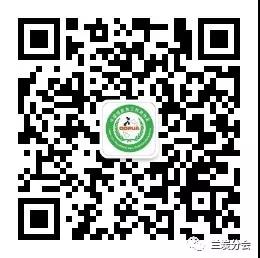 兰炭在化工、冶金及清洁燃料等领域应用分析 兰炭在化工、冶金及清洁燃料等领域应用分析