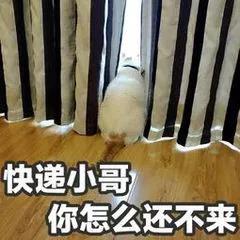 光谷这些外卖小哥and快递小哥，不仅颜值高收入高，还单身！